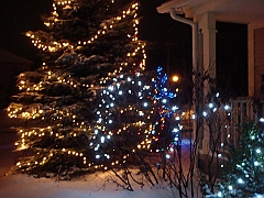 027 A2 Snowfall & Trees [2008 Dec 20]